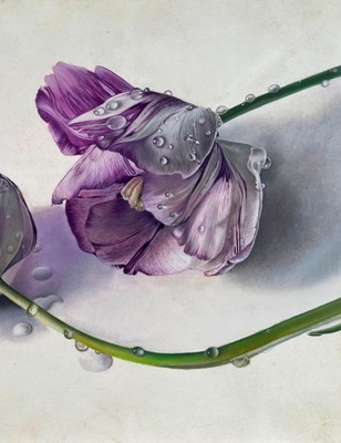 Ginny Page - Broken Tulips -28 x 35cm - Oil on Panel